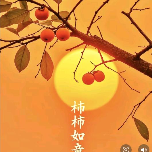 坪铵