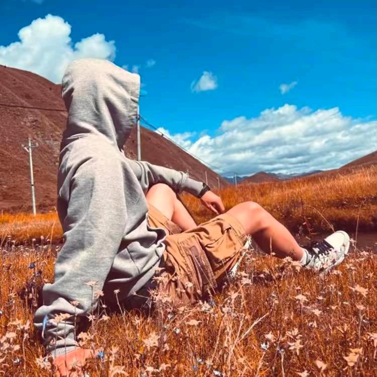 飞叔不在家