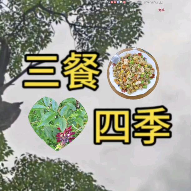 三餐四季（美食分享）