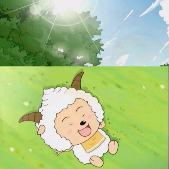 枕着阳光☀️睡的💤懒羊羊🐏