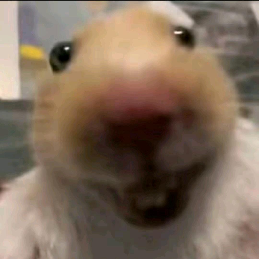 鼠王