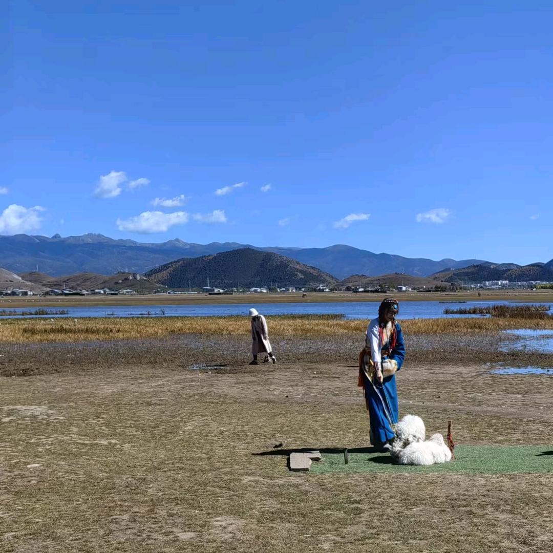 微笑人生🌻
