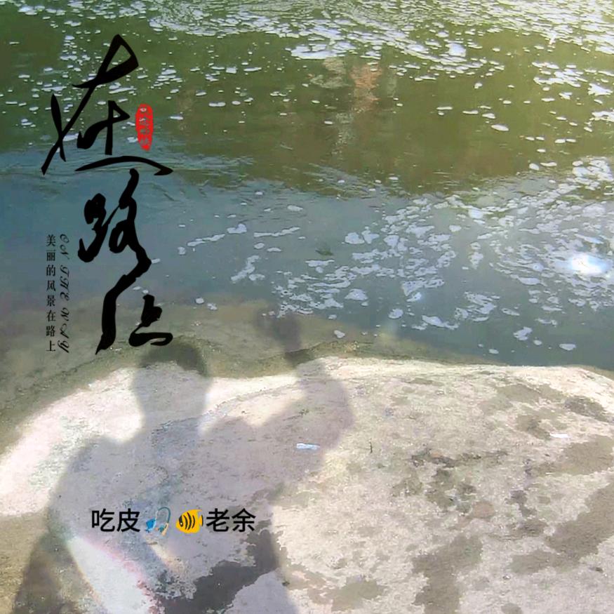 吃皮🎣🐠老余