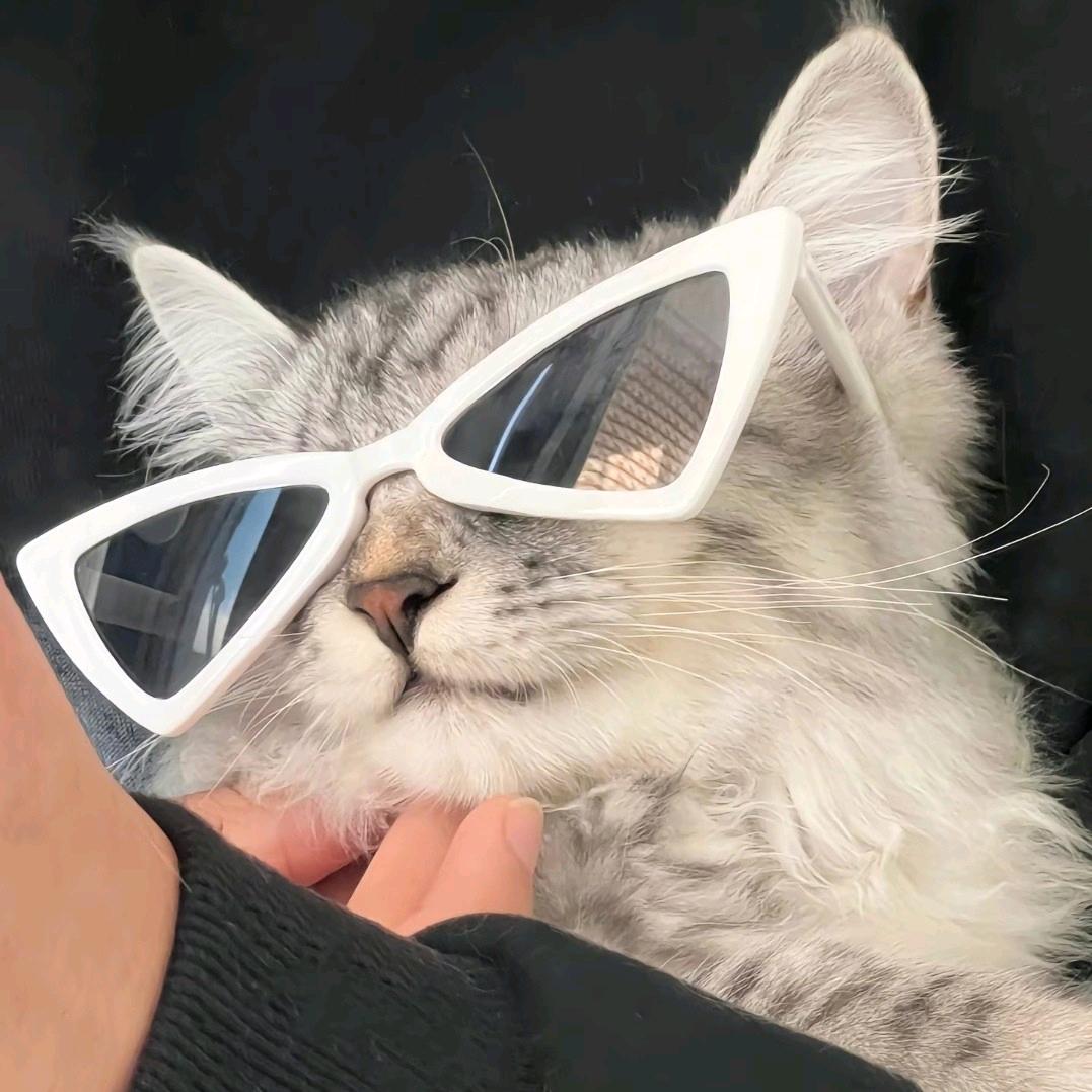 湫.