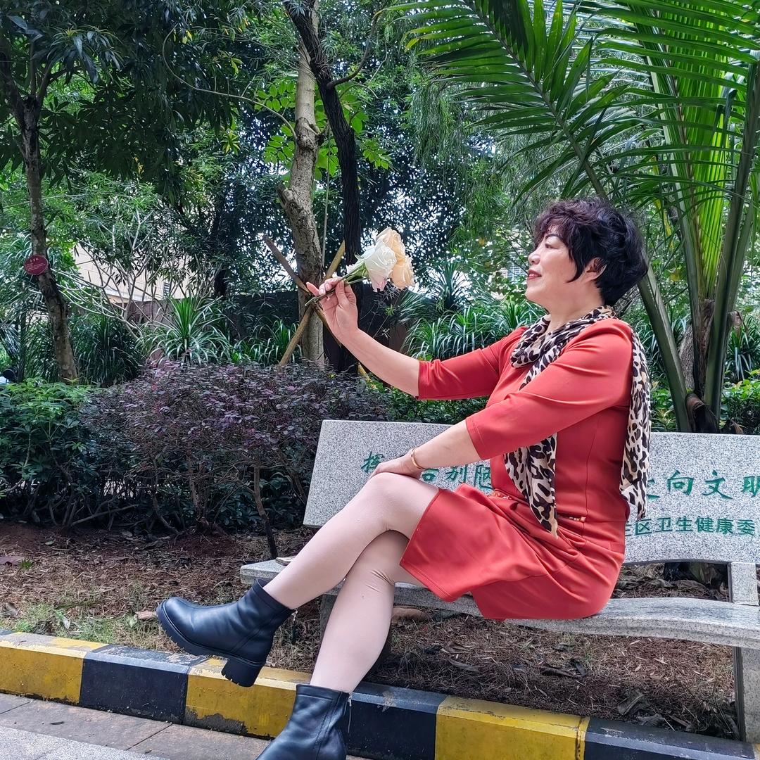 阿丽67年的绵羊