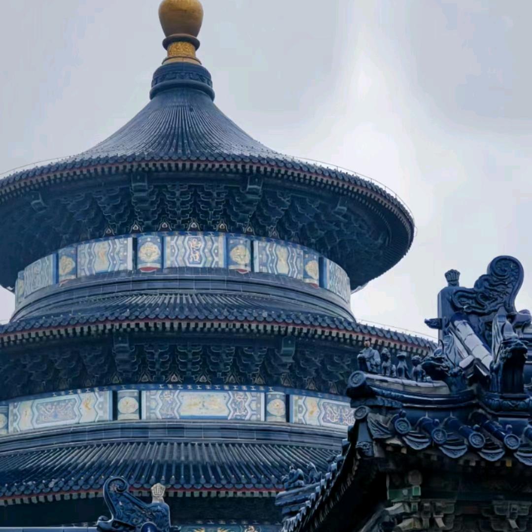 不敢凋谢的叶子🍃