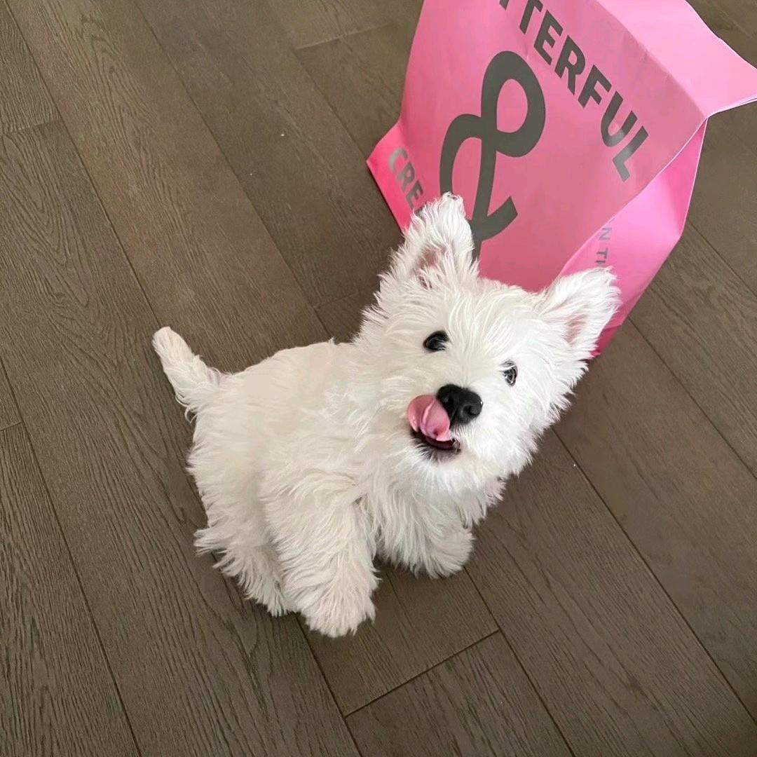 吉安