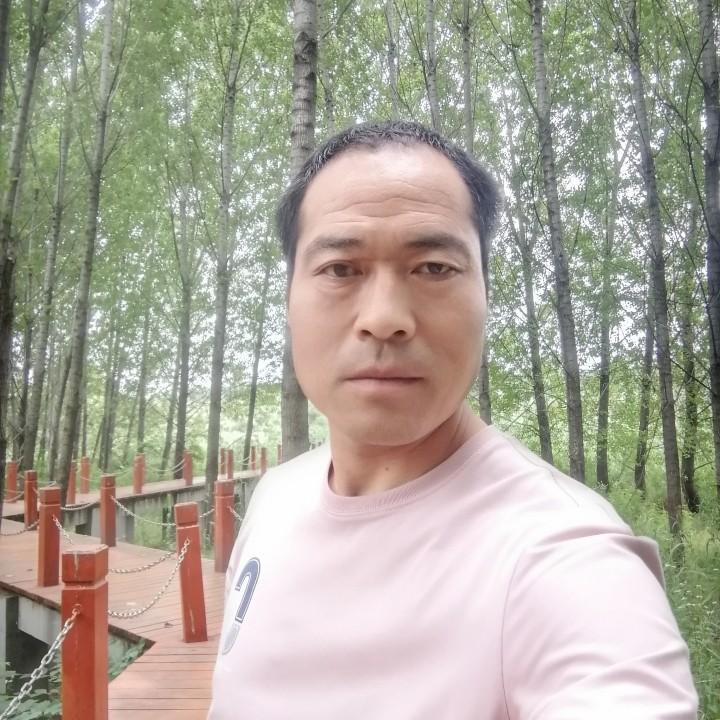 红尘有情