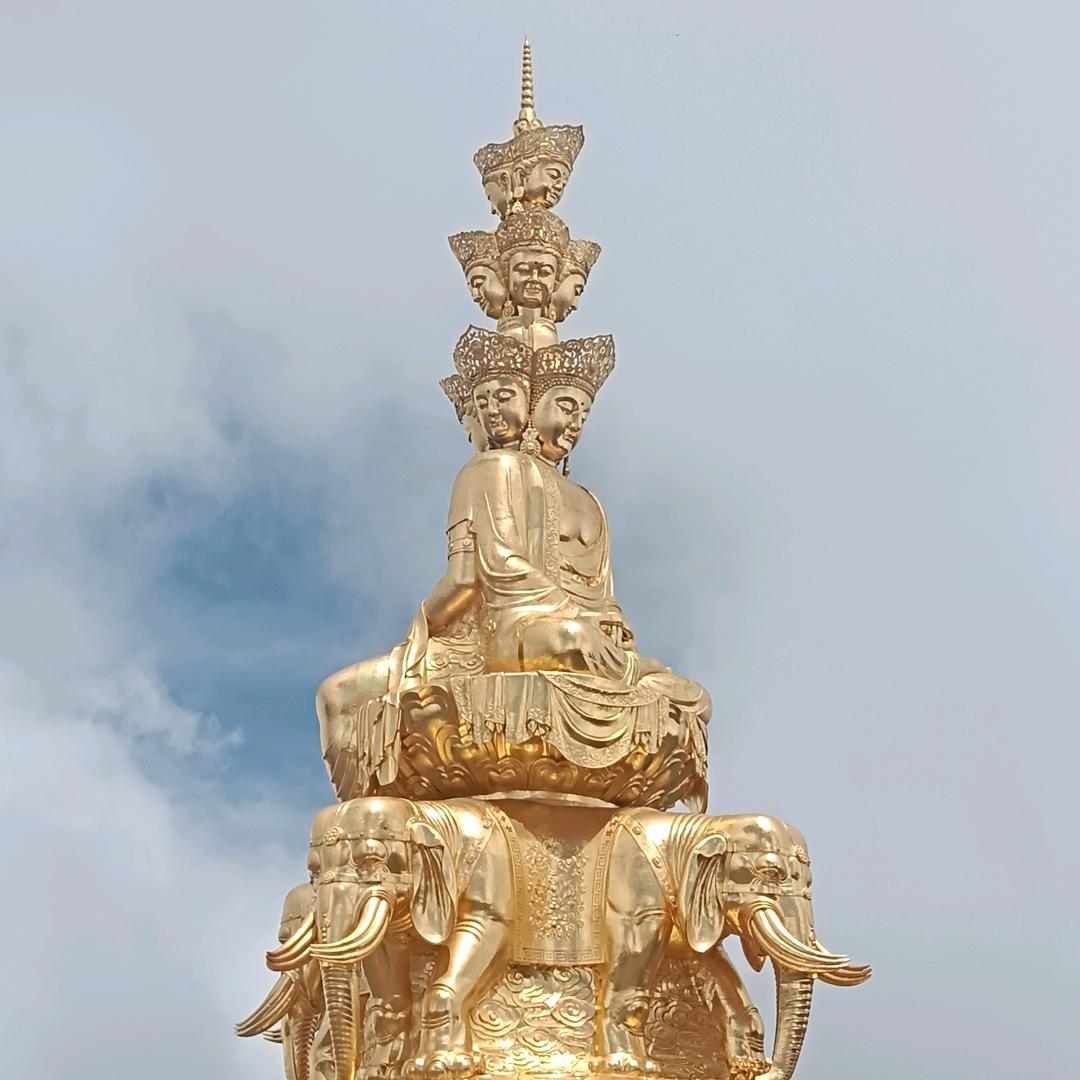 华众黑蒜：与你相伴