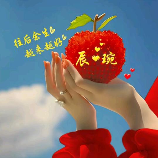 03、꧁༺辰琬༻꧂