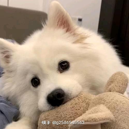 爹^O^