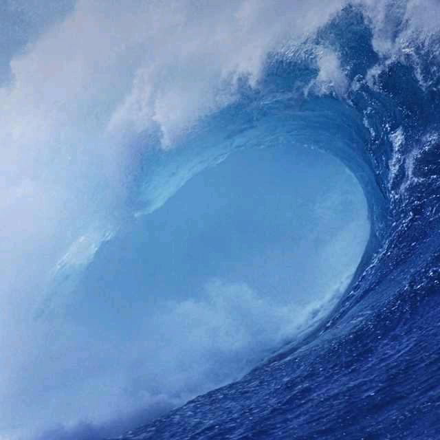 驾校高教练