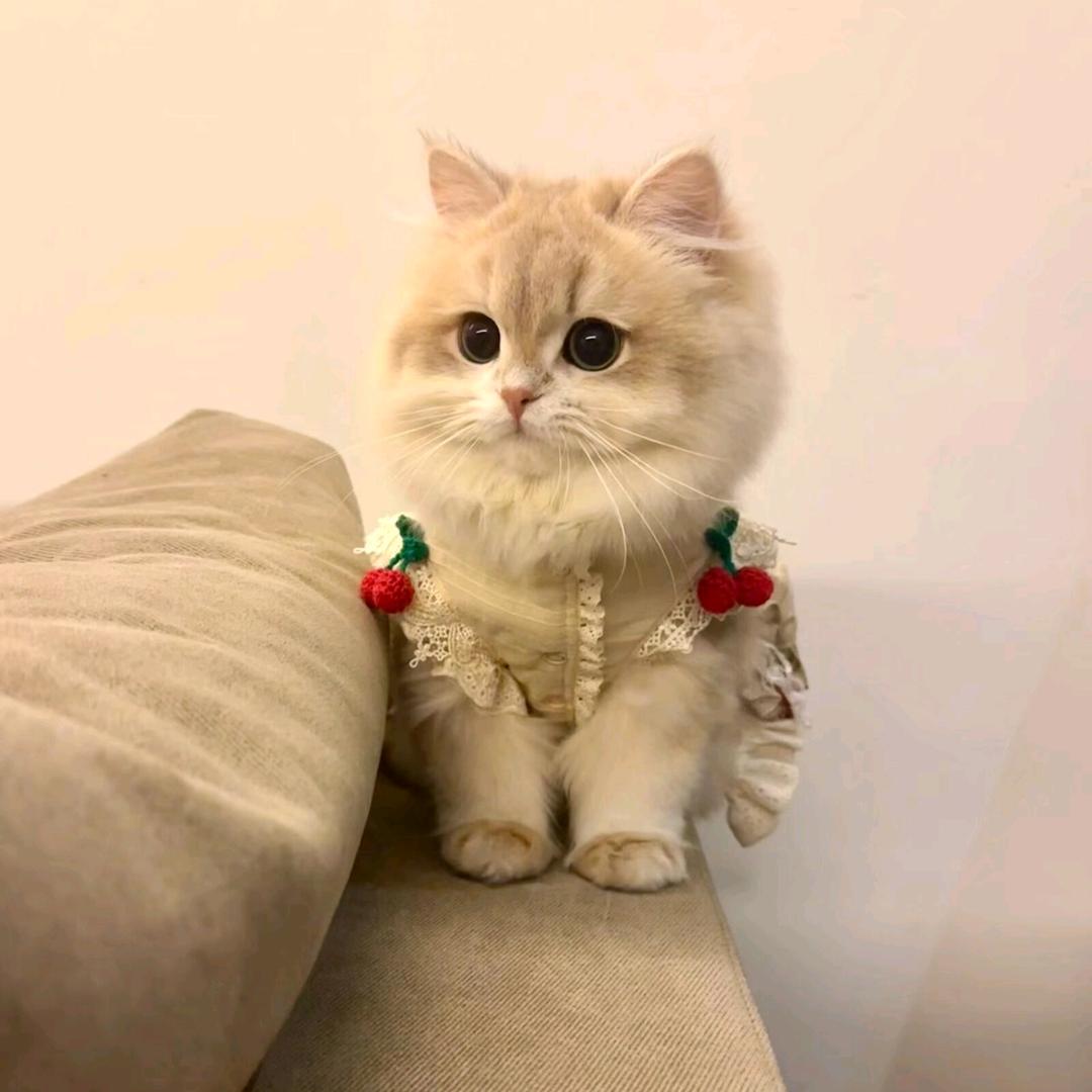 ঞ不ོ羁ོོ少ོོ年ོꦿ࿐₅₂ₒ