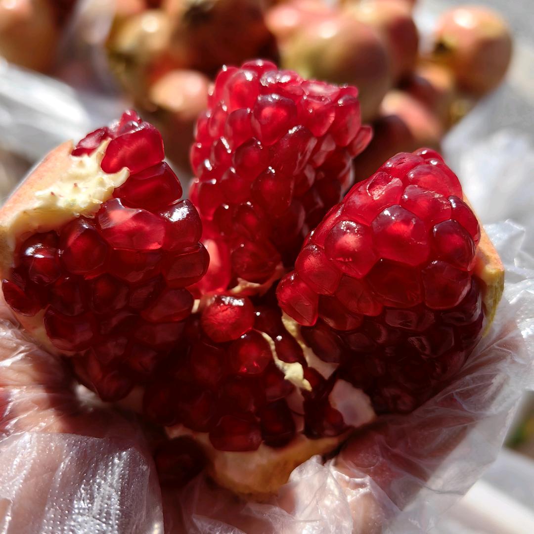 榴鲜生突尼斯软籽石榴专业种植