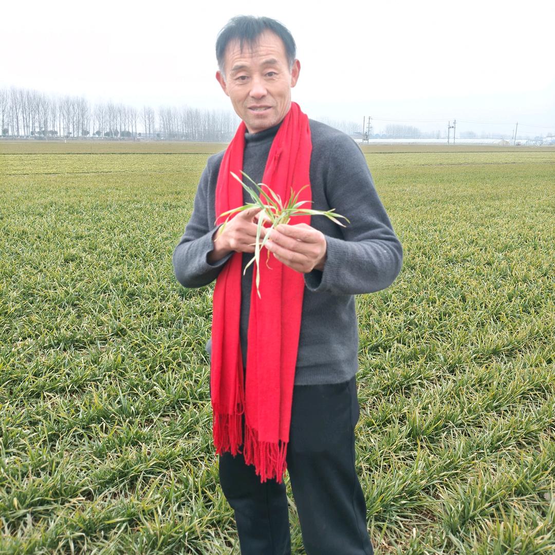 乔哥农业早上6点16分直播