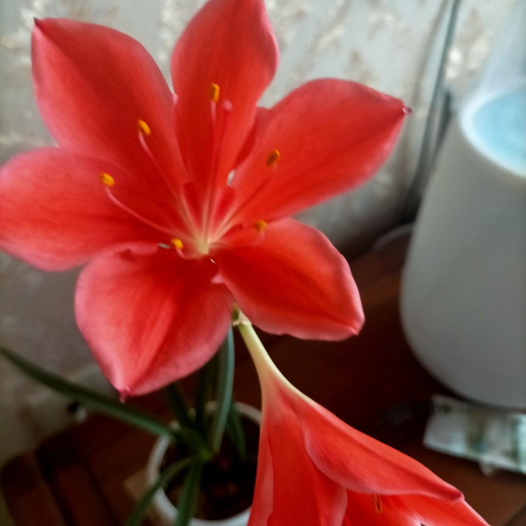 岁月安然•