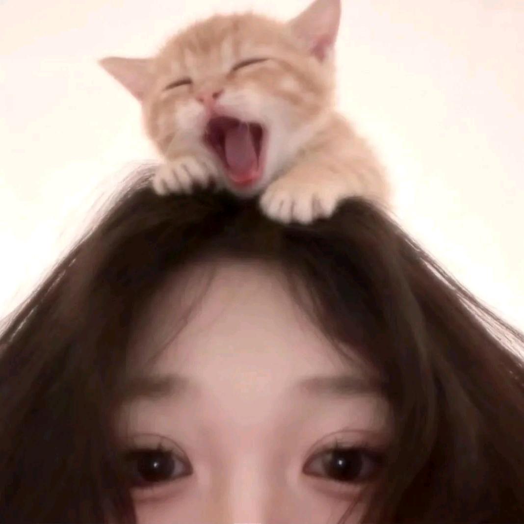 洗袜袜
