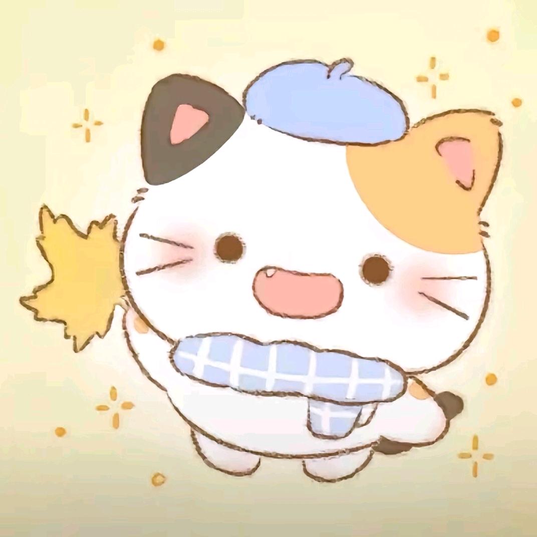 理想跟丢