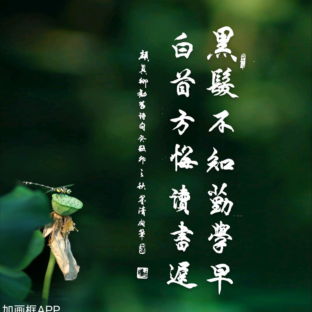 墨清同学