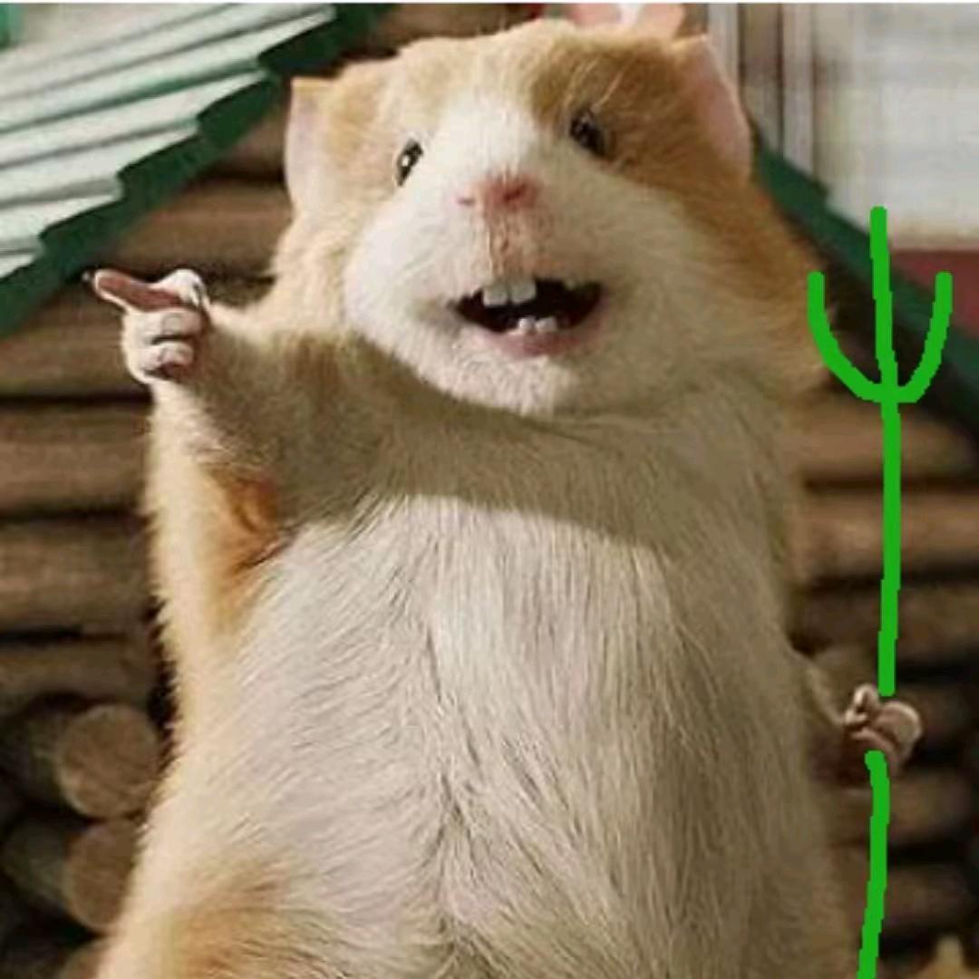 土拨鼠