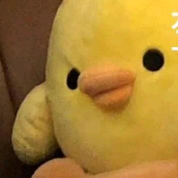 鸡蛋脑