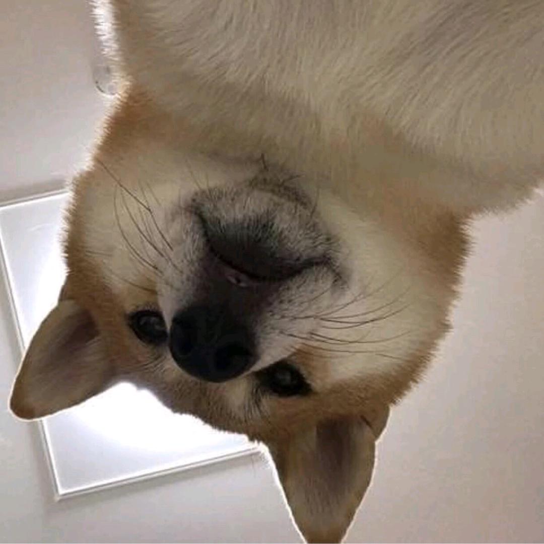执笔梦一场