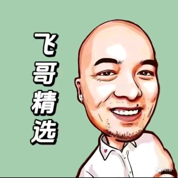 飞哥返场甄选