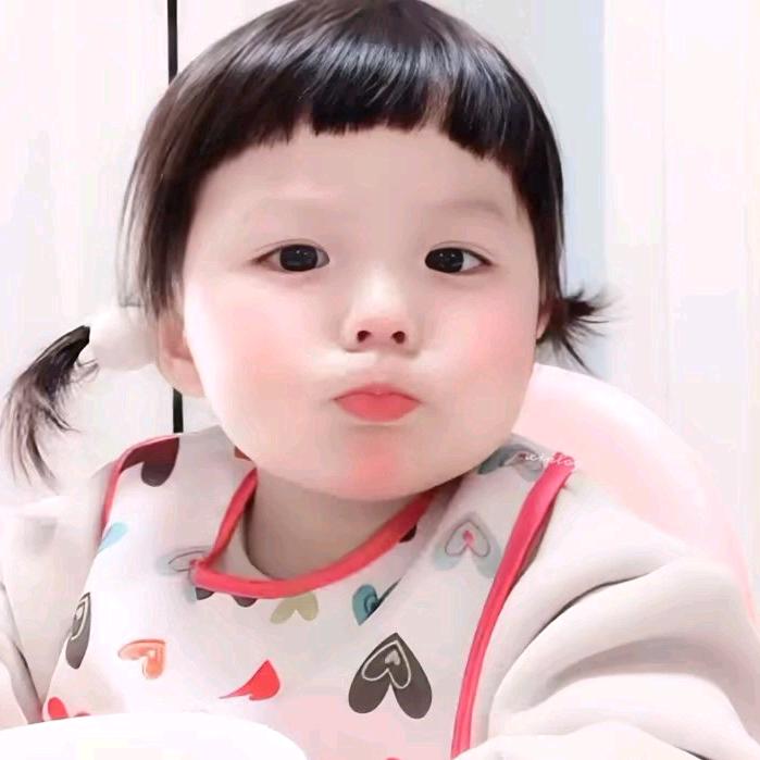 养只宅猫慧.