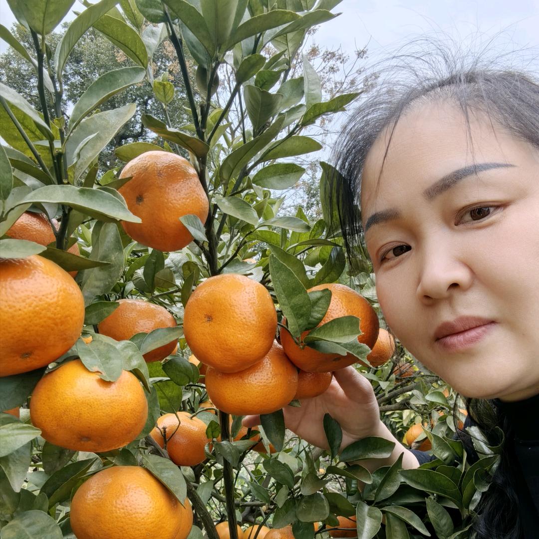 姣姐