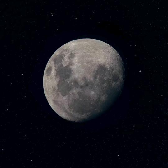 尾