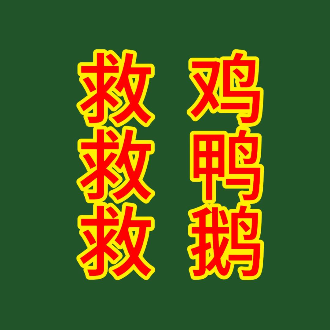 牧问题畜牧养殖