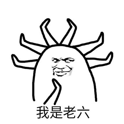 老六（一个代肝）