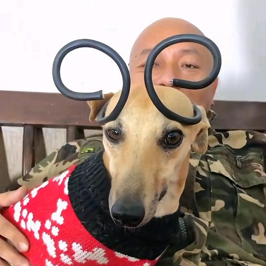 盛哥