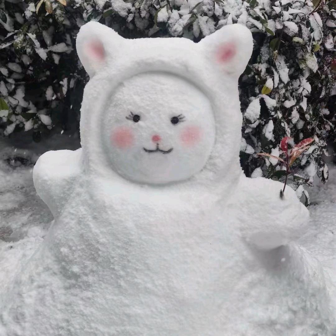 张莉莉