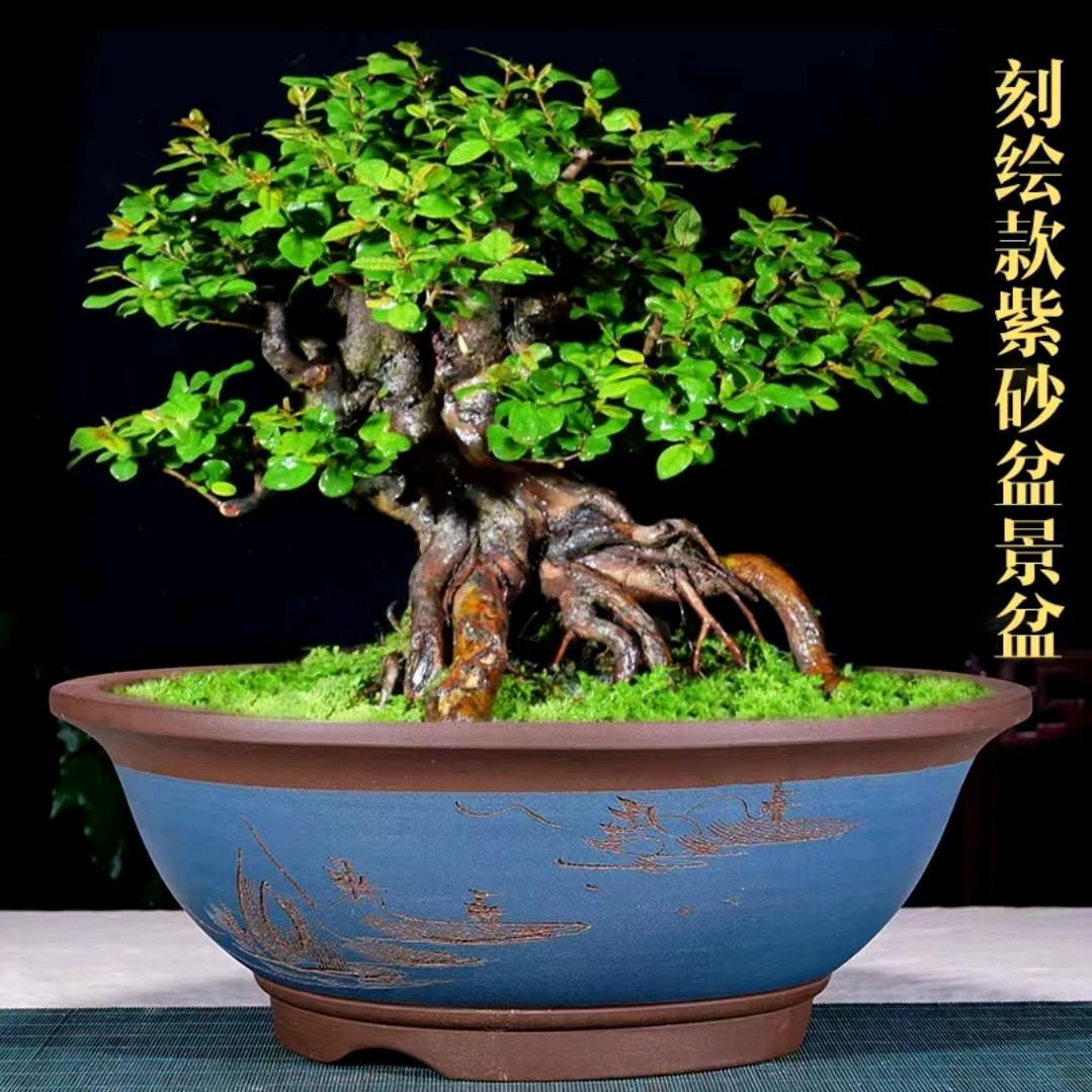 静梅鑫陶瓷
