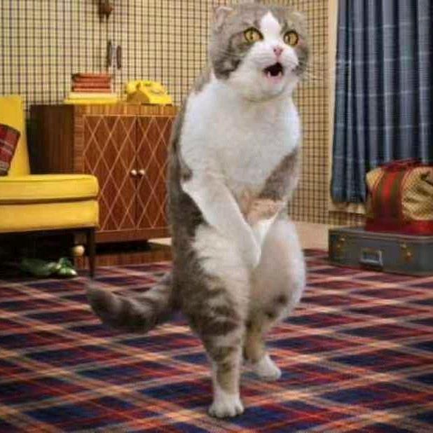 靠谱....。