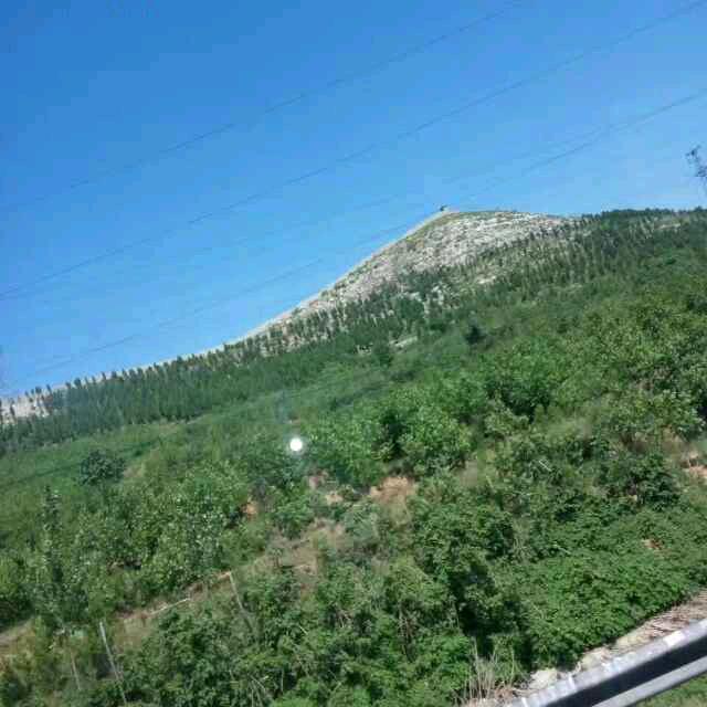 有你真好，，，，