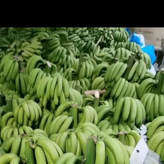 阳山果园水果批发