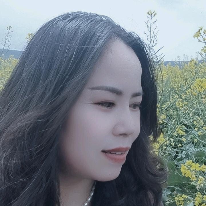 雁飞