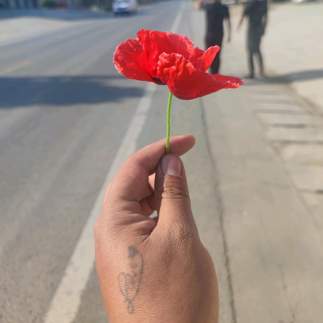 杨憨憨