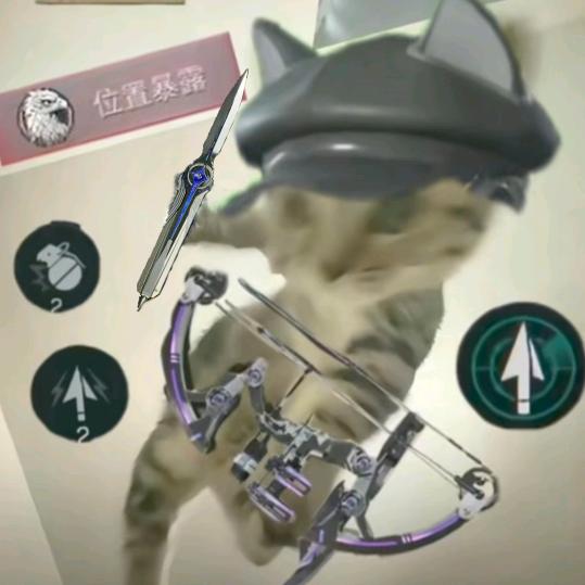 海苔（代肝鼠）