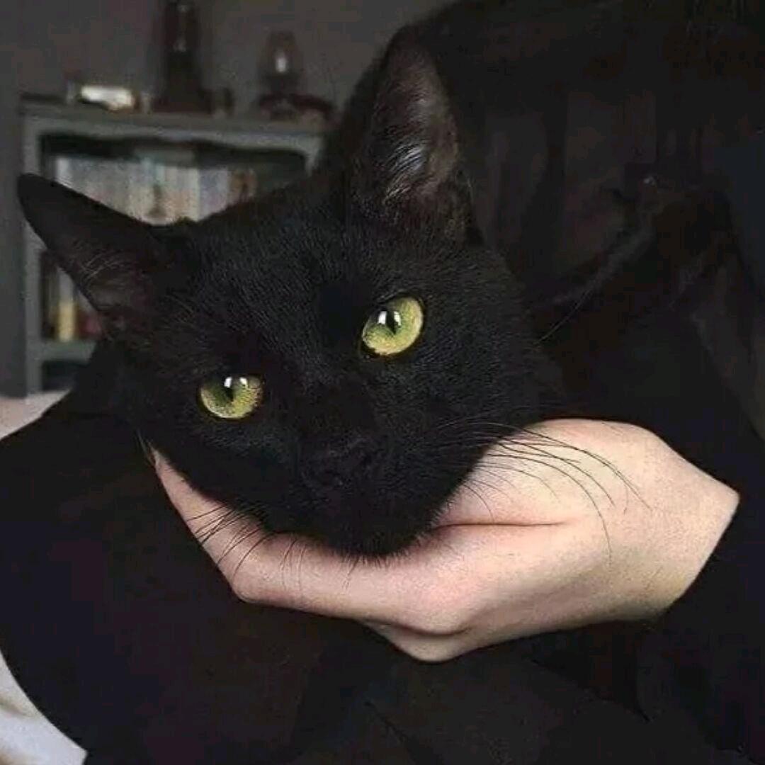 伍六七