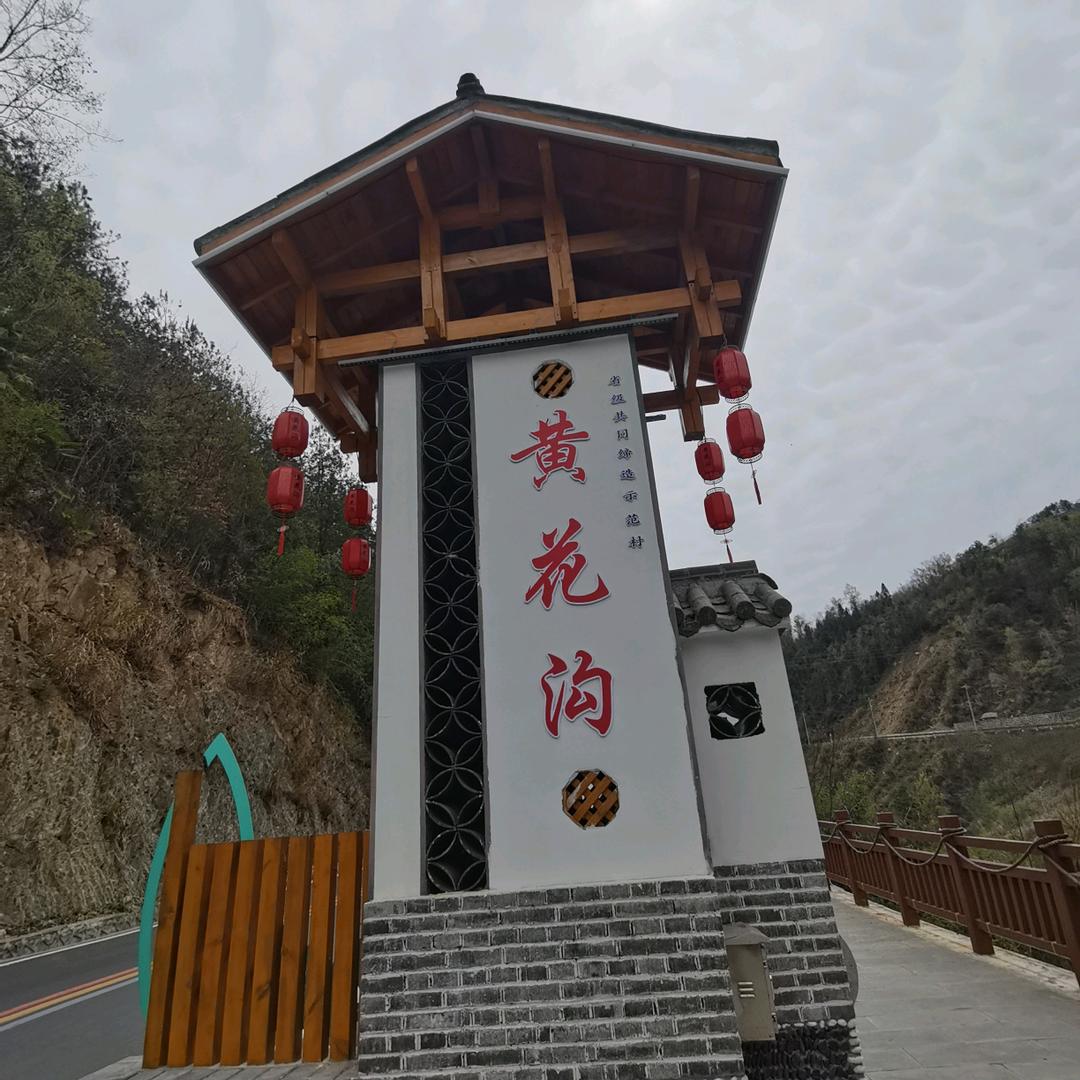 追求梦想