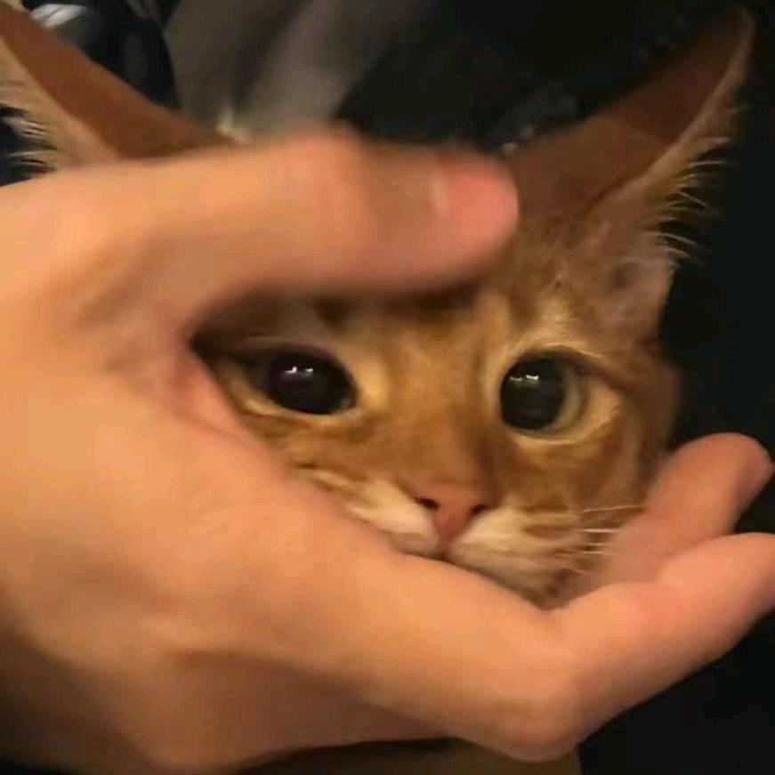 ~阮 阮 阮