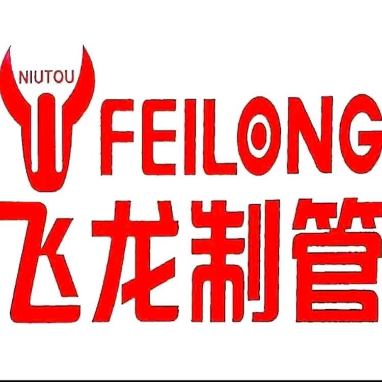 天津飞龙制管