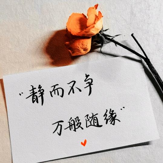 静而不争