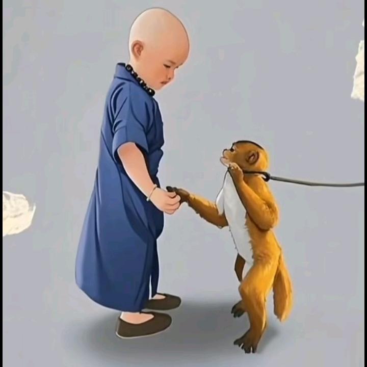 月宝。。