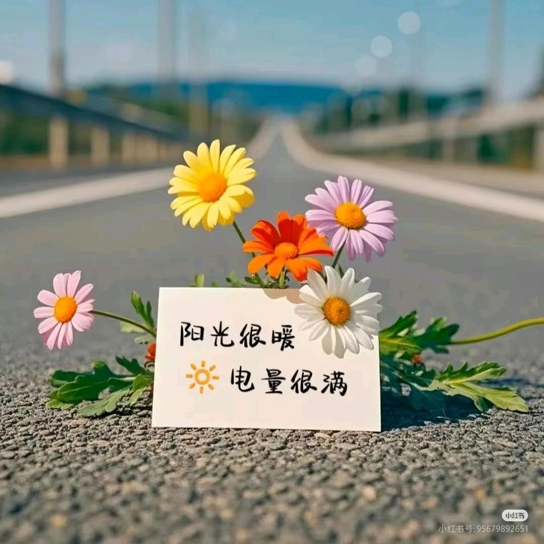 展鹏教育娜娜姐