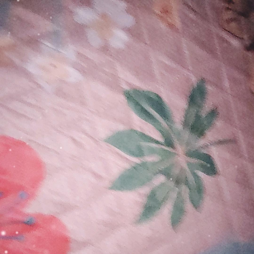 小胖不胖