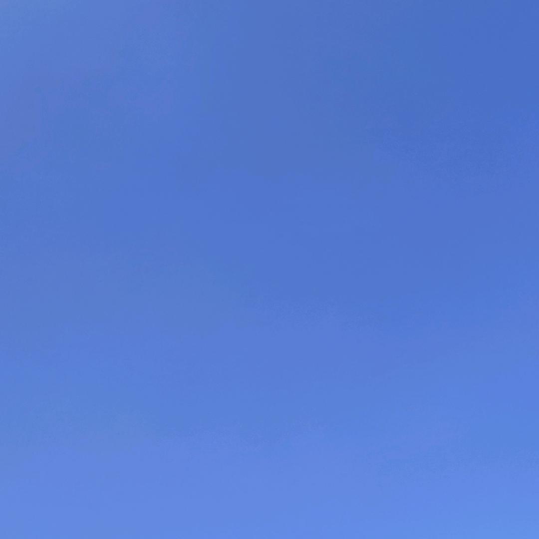 一醉不醒